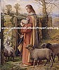 Qty of 50 Rush Funeral Cards